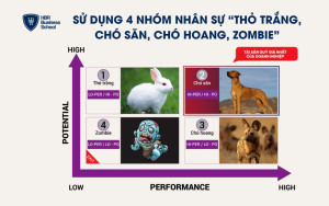 Mô hình phân loại nhân viên thành 4 nhóm