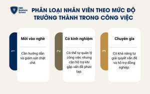Phân loại theo mức độ trưởng thành