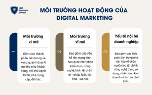 3 môi trường hoạt động chủ yếu của tiếp thị kỹ thuật số