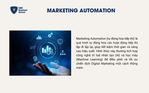 Nhiều doanh nghiệp cũng đã ứng dụng Marketing Automation
