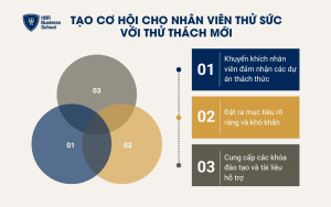 3 cách tạo cơ hội cho nhân viên thử sức và sáng tạo trong công việc