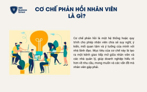Cơ chế phản hồi nhân viên là gì?