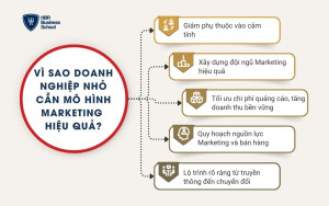 5 lý do doanh nghiệp nhỏ cần mô hình Marketing hiệu quả