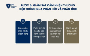 Giám sát thông qua phản hồi và phân tích