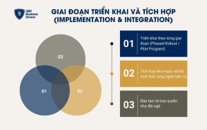 3 bước cần thực hiện trong giai đoạn triển khai và tích hợp