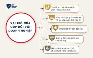 5 vai trò của CDP đối với doanh nghiệp