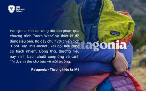 Patagonia đã biến hoạt động môi trường thành cốt lõi thương hiệu