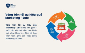 Vòng tròn chiến lược tối ưu hiệu quả Marketing - Salea
