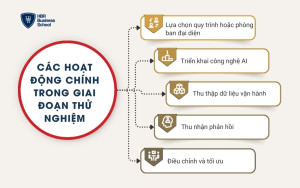 Các hoạt động chính trong giai đoạn thử nghiệm