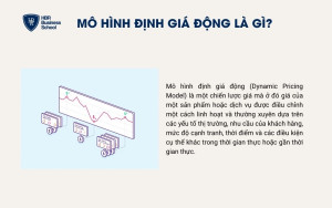 Mô hình định giá động là gì?