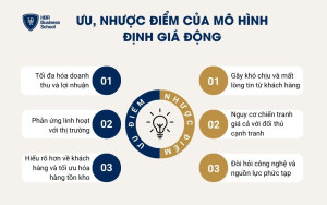 Ưu điểm và nhược điểm của mô hình định giá động