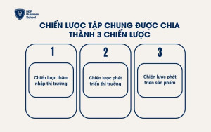 Chiến lược tập trung được chia làm 3 chiến lược