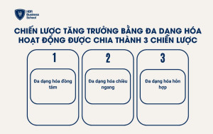 Chiến lược tăng trưởng bằng đa dạng hóa hoạt động