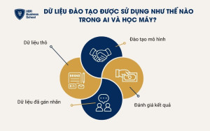 4 bước trong quy trình đào tạo có giám sát