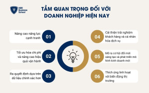 6 vai trò quan trọng của hệ sinh thái AI đối với doanh nghiệp