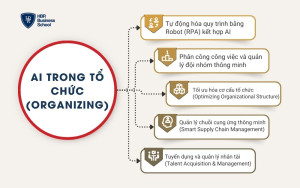 Ai hỗ trợ lãnh đạo trong việc thiết lập cơ cấu, phân bổ nguồn lực