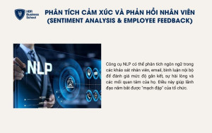 Phân tích cảm xúc và phản hồi nhân viên
