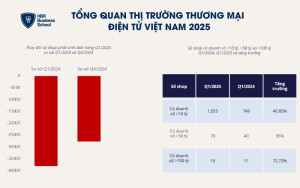 Tổng quan thị trường thương mại điện tử Việt Nam