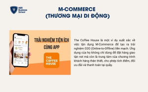 Xu hướng M-Commerce (Thương mại di động)