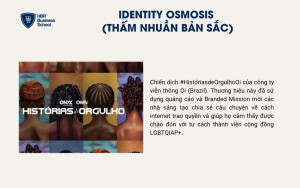 Xu hướng Identity Osmosis (Thấm nhuần bản sắc)