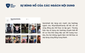 Sự bùng nổ của các ngách nội dung
