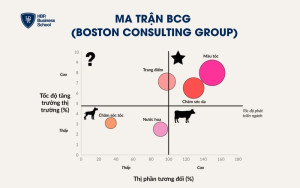 Ma trận BCG