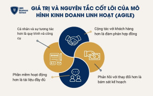 4 giá trị cốt lõi của mô hình kinh doanh linh hoạt (Agile)