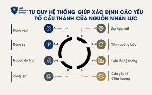 Tư duy hệ thống giúp xác định 8 yếu tố cấu thành của nguồn nhân lực