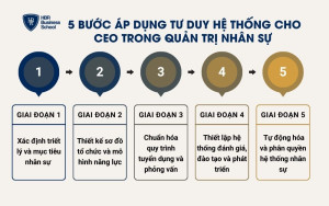 5 bước áp dụng tư duy hệ thống cho CEO trong quản trị nhân sự