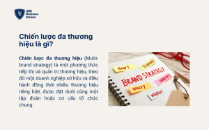 Chiến lược đa thương hiệu là gì?