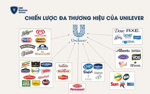 Chiến lược đa thương hiệu ví dụ - Tập đoàn Unilever