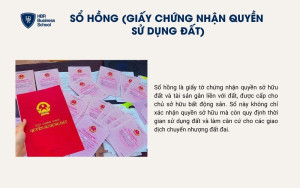 Sổ hồng (Giấy chứng nhận quyền sử dụng đất)