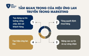 Tầm quan trọng của hiệu ứng lan truyền trong marketing