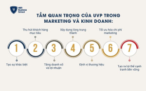 Tầm quan trọng của UVP trong marketing và kinh doanh