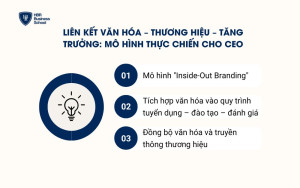 Liên kết văn hóa – thương hiệu – tăng trưởng: Mô hình thực chiến cho CEO