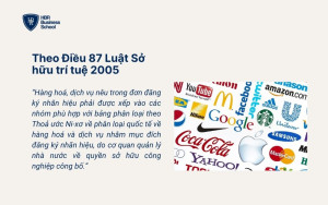 Yêu cầu của nhà nước đối với đơn đăng ký nhãn hiệu