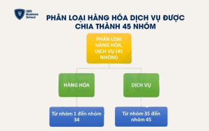 Phân loại hàng hóa dịch vụ