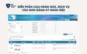 Điền phân loại hàng hoá, dịch vụ vào đơn đăng ký nhãn hiệu