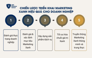 Chiến lược triển khai marketing xanh hiệu quả cho doanh nghiệp