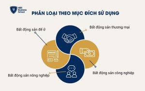 Phân loại theo mục đích sử dụng