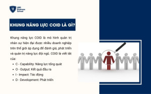 Khái niệm Khung năng lực COID
