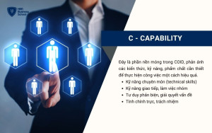 C - Capability