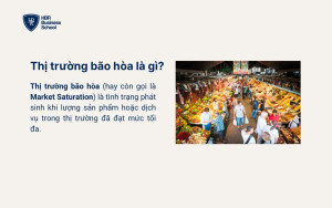 Thị trường bão hòa là gì?