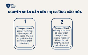 Nguyên nhân dẫn đến thị trường bão hòa