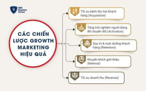 Các chiến lược Growth Marketing hiệu quả