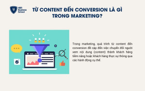 Từ content đến conversion là gì trong marketing?