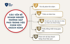 Các vấn đề doanh nghiệp thường gặp phải trong việc chăm sóc khách hàng
