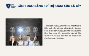 Lãnh đạo bằng trí tuệ cảm xúc là gì?