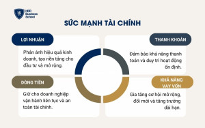 Sức mạnh tài chính (Financial Strength – FS)
