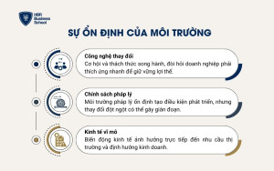 Sự ổn định của môi trường (Environmental Stability – ES)
